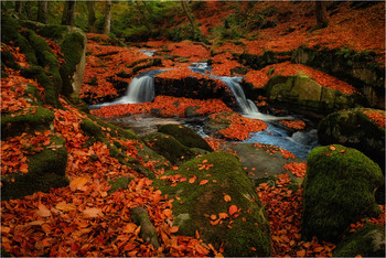 all the colors of autumn / Cloughleagh Creeks