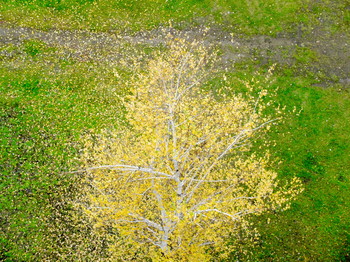 allen Farben des Herbstes / [img]https://i.imgur.com/cuASOIK.jpg[/img]
