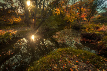all the colors of autumn / ***