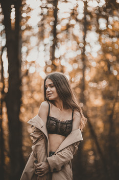  / ***
