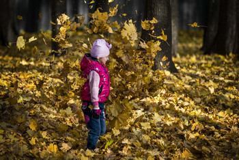all the colors of autumn / ***