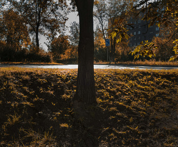 all the colors of autumn / ***