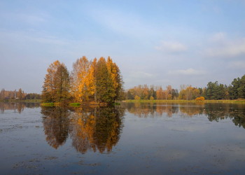 all the colors of autumn / ***