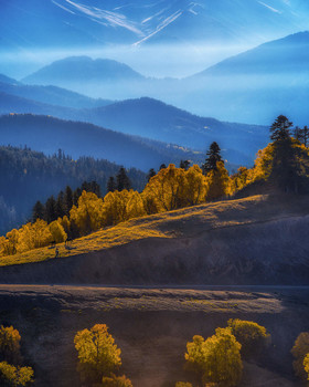 all the colors of autumn / ***