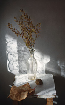 Golden ray of sunlight ... / ............................