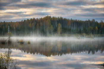 von Nebel / ***