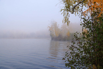 Cold morning. / ***