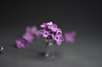 Macro / ...