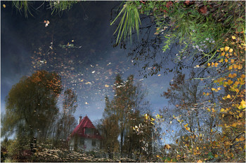 Reflection / ***