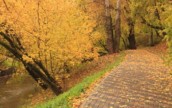 Autumn alley / ***