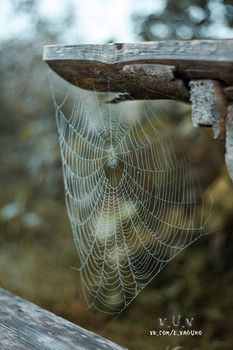 Web / https://www.instagram.com/vaguro_v_u_v/

https://web.facebook.com/evgeniy.vagouro

https://vk.com/e.vaguro