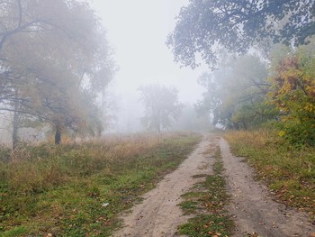 somewhere / ***