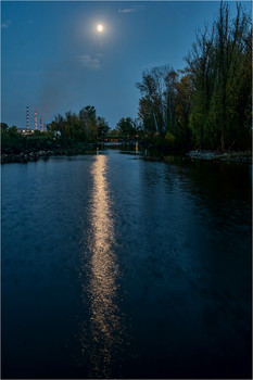 Moonlight / ***