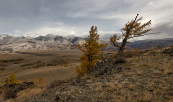 On the seven winds. / ***