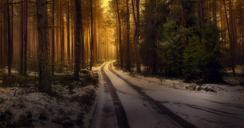 somewhere / ***