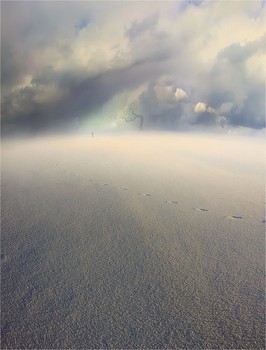 &nbsp; / 2010