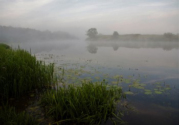 Nebel über dem Fluss / ***