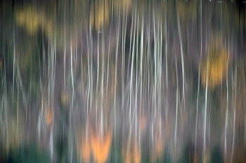 Watercolor / ***