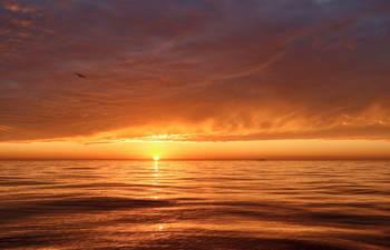 solar wind / ***