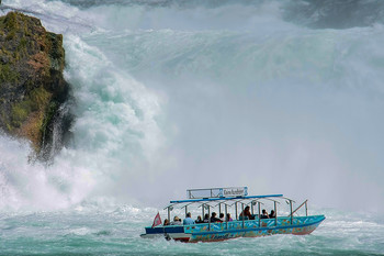 Rhine Falls / ***