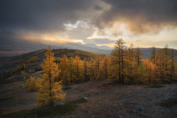 Autumn breath / ***
