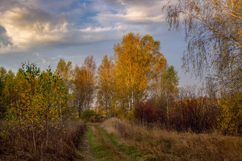 Autumn / ***