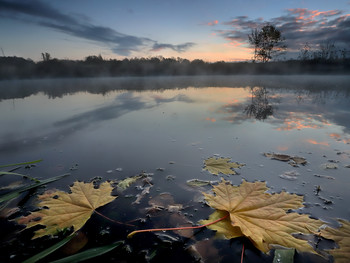 Autumn time... / ***