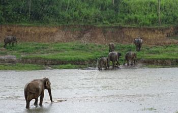 auf der anderen Seite / ***