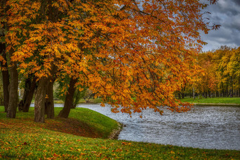 Victory Park / ***