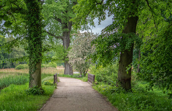  / Park in Gołuchów Poland.
