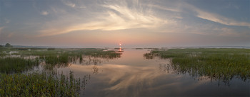 At dawn / ***