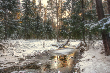 Pre-winter / ***