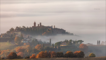 Foggy morning / ***