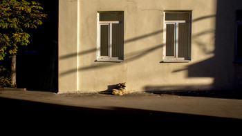 Herbstsonne / ***