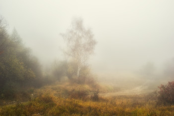 The smell of autumn / ***