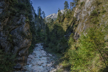 In der Schlucht / Almbachklamm