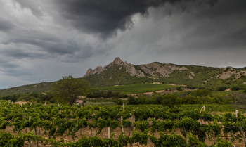 Crimea / +++++++++++++++