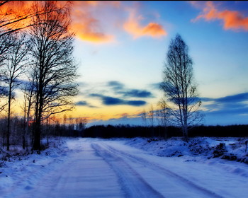 Winter / ***