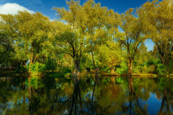 Boldin Autumn / ***