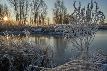 Frostigen Morgen. / ***