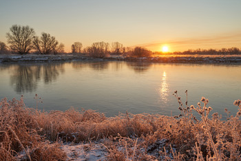 Frostigen Morgen. / ***