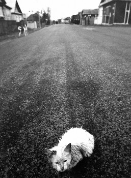 Verlassen / ***