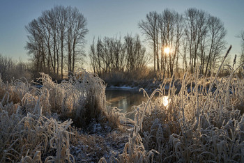Frostigen Morgen. / ***