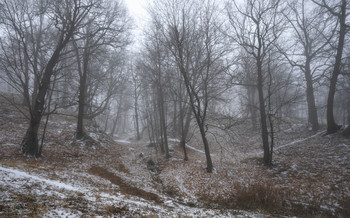 November. / ***