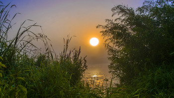 Fog at dawn. / ***