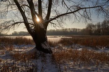 Winter dawn / ***