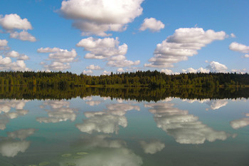 Reflection / ***