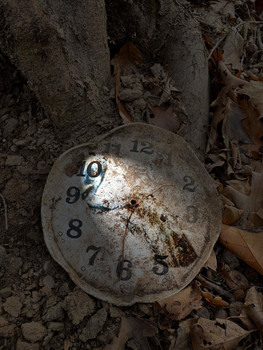 Time / Vergänglichkeit