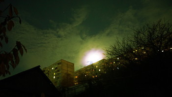 Full Moon / ***