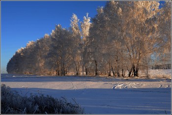 Golden Sunset / ***